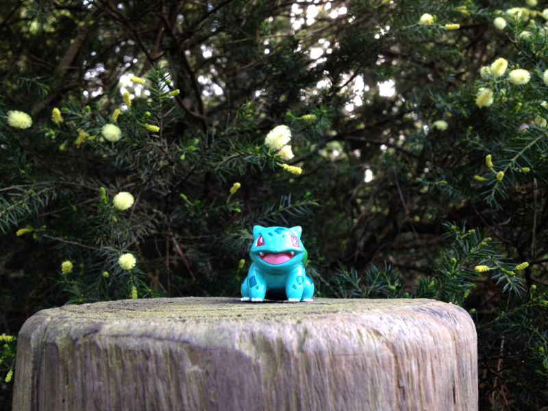 Illustration for article titled Welcome to Project Bulbasaur Botany